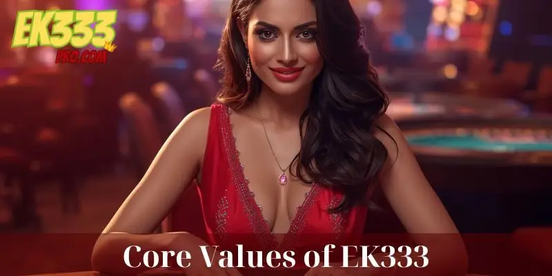 EK333 এর প্রবৃদ্ধির জন্য চারটি মূল মূল্যবোধ হলো ন্যায্য খেলা, গতি, নিরাপত্তা এবং সম্প্রদায়।