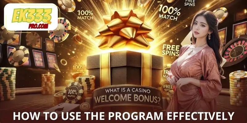 কীভাবে কার্যকরভাবে প্রোগ্রামটির সুবিধা নেওয়া যায়