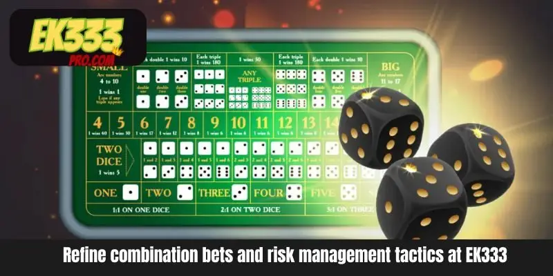 EK333-এ কম্বিনেশন বেট এবং ঝুঁকি ব্যবস্থাপনা কৌশলগুলি পরিমার্জন করুন